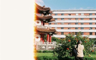 魅影危机剧情介绍（电影魅影危机）