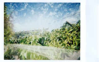 间谍家族13剧情介绍（间谍家族剧情介绍分集）