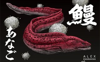 小浪漫剧情介绍（小浪漫剧情介绍大结局）