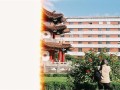 情书详细剧情介绍（情书剧情介绍简介）