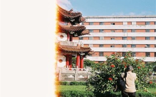 韩剧诅咒剧情介绍（美剧诅咒完结了吗）